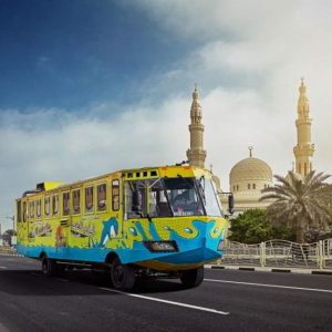 Wonder Bus Tour Sightseeing and Tours